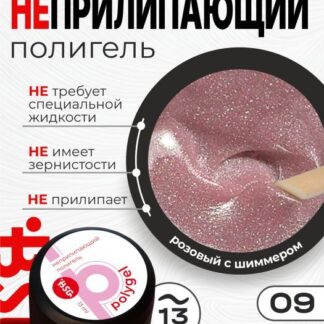 Biotech Полигель Неприлипающий №09 13г
